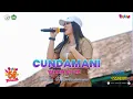 Download Lagu CUNDAMANI - YEYEN VIVIA ft Osaka Entertainment (Live at SMKN 1 Plosoklaten)