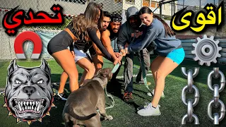 تحدي القوة مع زورو    دندنها