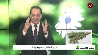                                                                                       دندنها