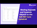 Binding Expando and Dynamic Objects to the ASP NET Core Grid Control