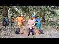 Download Lagu Superstar dangdut