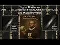 TFM Amplitude Fidelity Grid Resolution and The Diagonal Problem