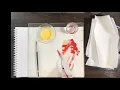 Egg Tempera Demo 2
