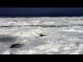 Ice Pack Mayflower Beach 2015