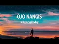 Download Lagu Niken Salindry - Ojo Nangis | Lagu Sedih (Lirik Lagu)