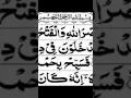 Download Lagu Surah An-Nasr | Mishary Rashid Alafasy