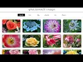 Filterable image gallery using HTML CSS and Java script - Professional Web Design