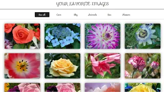 Filterable image gallery using HTML CSS and Java script - Professional Web Design