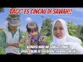 Download Lagu BAGI\