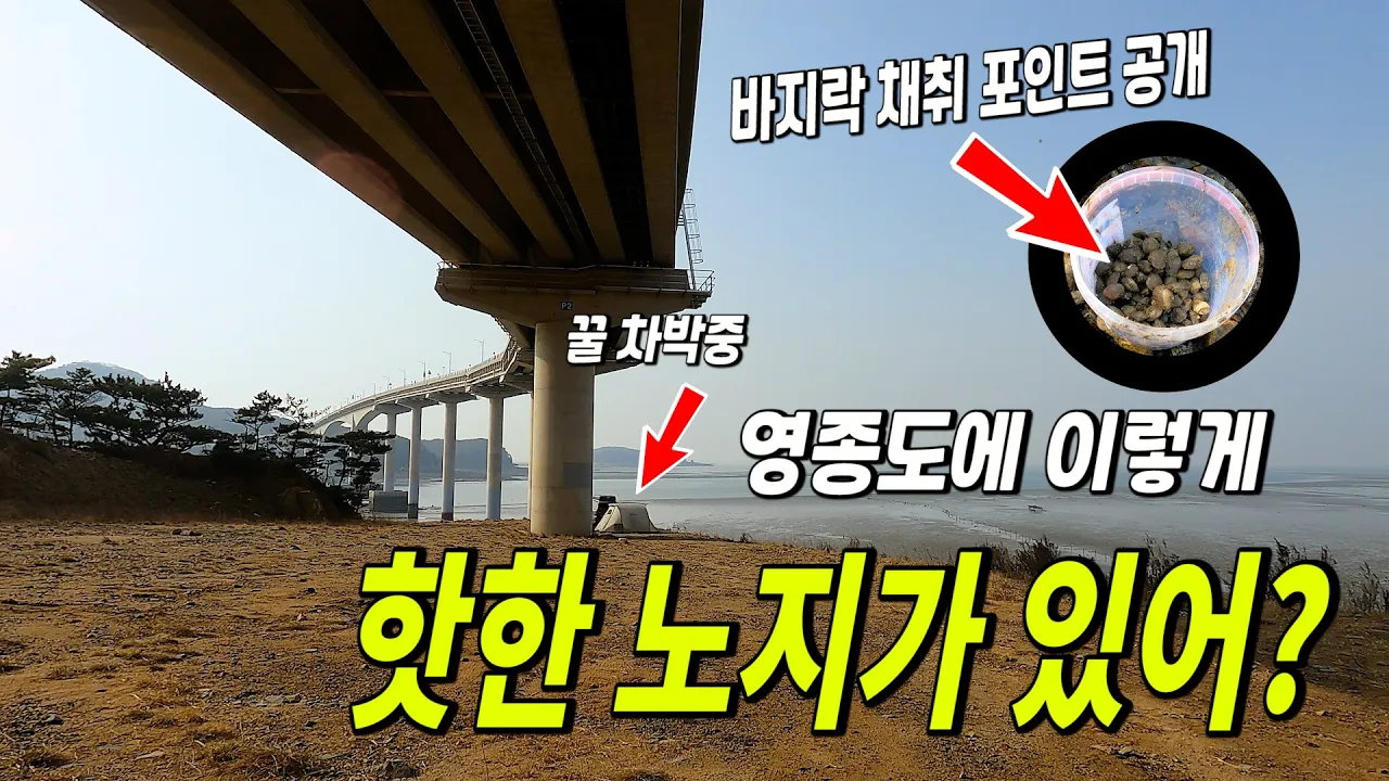 영종도에 이런 핫한 노지 차박 캠핑 장소가 있어? 바지락 채취 포인트,채취 방법 모든 꿀팁 노하우 전격 공개합니다  | 행복등갈비 밀키트 サムネイル
