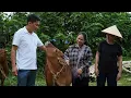 Download Lagu Hung's offer to Hoai Ca and her adoptive mother touched everyone.
