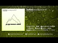 SaAber - Analog Heart (Original Mix) [Progressive Vibes Light - PVM234L]