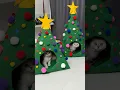 Lagu Christmas tree for cats #cat #cats