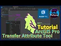 ArcGIS Pro Tutorial Transfer Attribute Tool