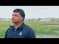Soil Salinity Impacts and Management