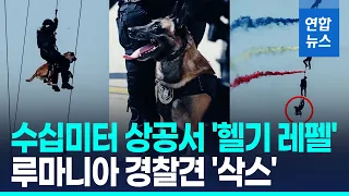 수십미터 상공서 '헬기 레펠'…루마니아 에어쇼 등장한 경찰견