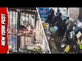 Looters Storm Mom and Pop Liquor Store in 30K Rampage Taking Everything We Have