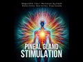 Pineal Gland Stimulation - Pineal Gland Activation Regulate Your Nervous System Reduce Stress