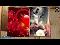 Download Lagu Usle jati maya timlai maile pani dinthe hola sansar ka sara khusi timrai lagi kinthe hola/Wajid Shek