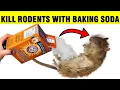 Lagu How To Kill Mice \u0026 Rats (RODENTS) with Baking Soda