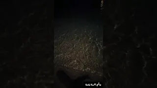 البحر بالليل العقبة 