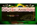 CONEXÃO AMAZÔNICA - Legião Urbana - Capital Inicial - Duplo Sentido - por Laerte Souza Full HD