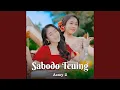 Lagu Sabodo Teuing
