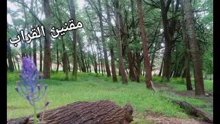 تغريد ورو المعروف بالقراب 