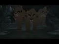Disney King: A girl worth fighting for