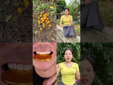 Video Hiburan Super Seru dan Kocak yang Wajib Kamu Tonton Hari Ini! 🍿🎉