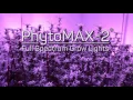 Download Lagu Announcing PhytoMAX-2 - The Best Just Got Better!