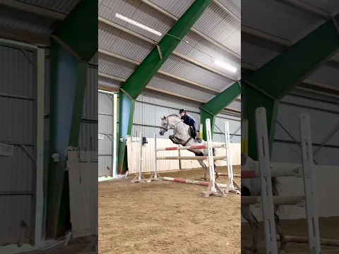 FIRST RIDE, HUGE JUMPS😱 #shorts #horse