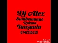 Lagu Sean Paul   Get Busy Instrumental Deejay Alex REFIX
