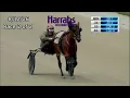 Hoosier Park Qualifiers 28