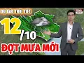 Download Lagu Dự Báo Thời Tiết Đêm Nay và Ngày Mai 12/10 | Thời Tiết Hôm Nay 3 Ngày Tới Mới Nhất