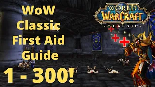 Classic Wow First Aid Guide 1 - 300 Alliance Roly The Holy Paladin First Aid Classic Wow