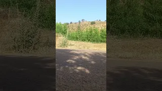 إلى جميع أبراج المراقبة نحن بخير الحمدلله كثيرا اكسبلور 