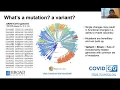 Albert Tian Chen - COVIDCG SARS-CoV-2 Mutation Tracking Genomic Data Visualization PyData Boston