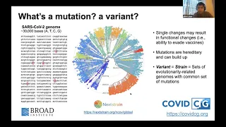 Albert Tian Chen - COVIDCG SARS-CoV-2 Mutation Tracking Genomic Data Visualization PyData Boston
