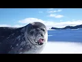 "KISS FROM A ROSE" BY SEALS