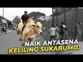 MAS HERMAWAN NAIK ANTASENA KELILING SUKABUMI, AUTO DIREBUNG BOCIL!