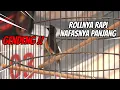 Download Lagu INI MIRIP LAMBADA REBORN ‼️ SEKALI TARIK LANGSUNG NYAMBUNG PUKULAN 👉 FULL HD