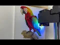 From Blank to Bold Custom Wall Printing in Action - 1 Time Wall Prints
