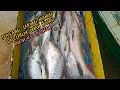 Download Lagu Luar Biasa‼️Menjaring Disini Bagaikan Menjaring Ikan Di Kolam...