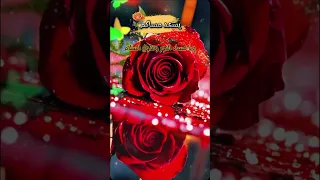 مساء الخير دعاء حالات مساء الفل مسائيات دينية مساء الخير Shorts 