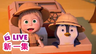 🔴 LIVE! 瑪莎與熊 - 🆕 新 一集 🆕 📦 發揮想像力 🎠 | Masha and The Bear