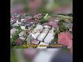 Download Lagu Ojo Dibid'ahkan. (Opick dan Azam) Santri Pondok Pesantren Darul Fallah Pagutan Mataram, NTB.
