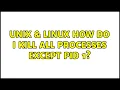 Unix Linux How do I kill all processes except PID 1 2 Solutions
