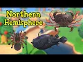 ALL New Northern Hemisphere Fish Bugs and Sea Creatures in November Animal Crossing New Horizons