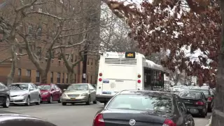 NYCT Buses 2015 Nova LFS 8420 Q84 detouring via Linden Blvd and 167th st